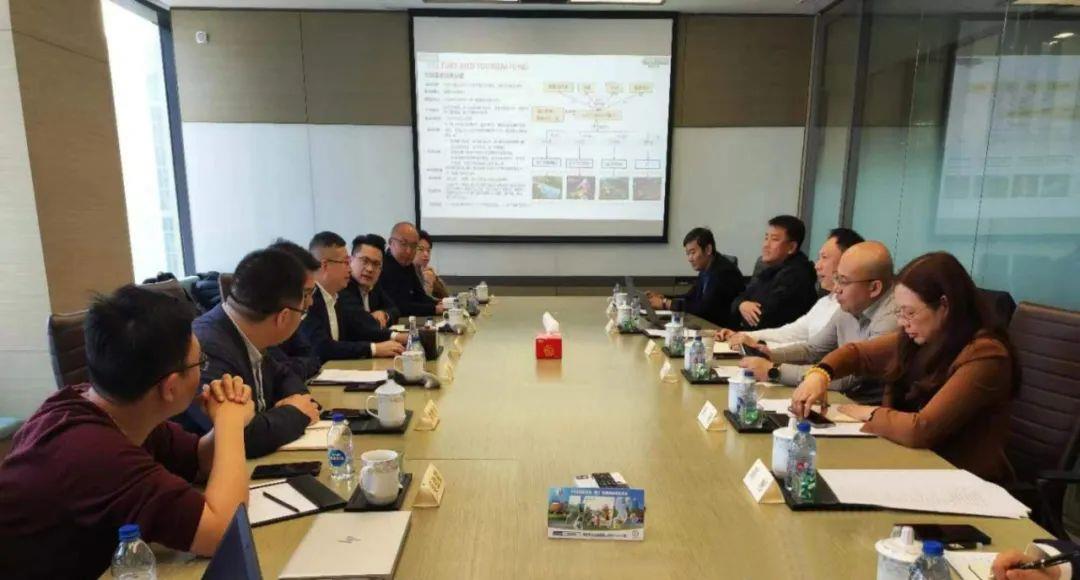 摩根娱乐官方网站图片