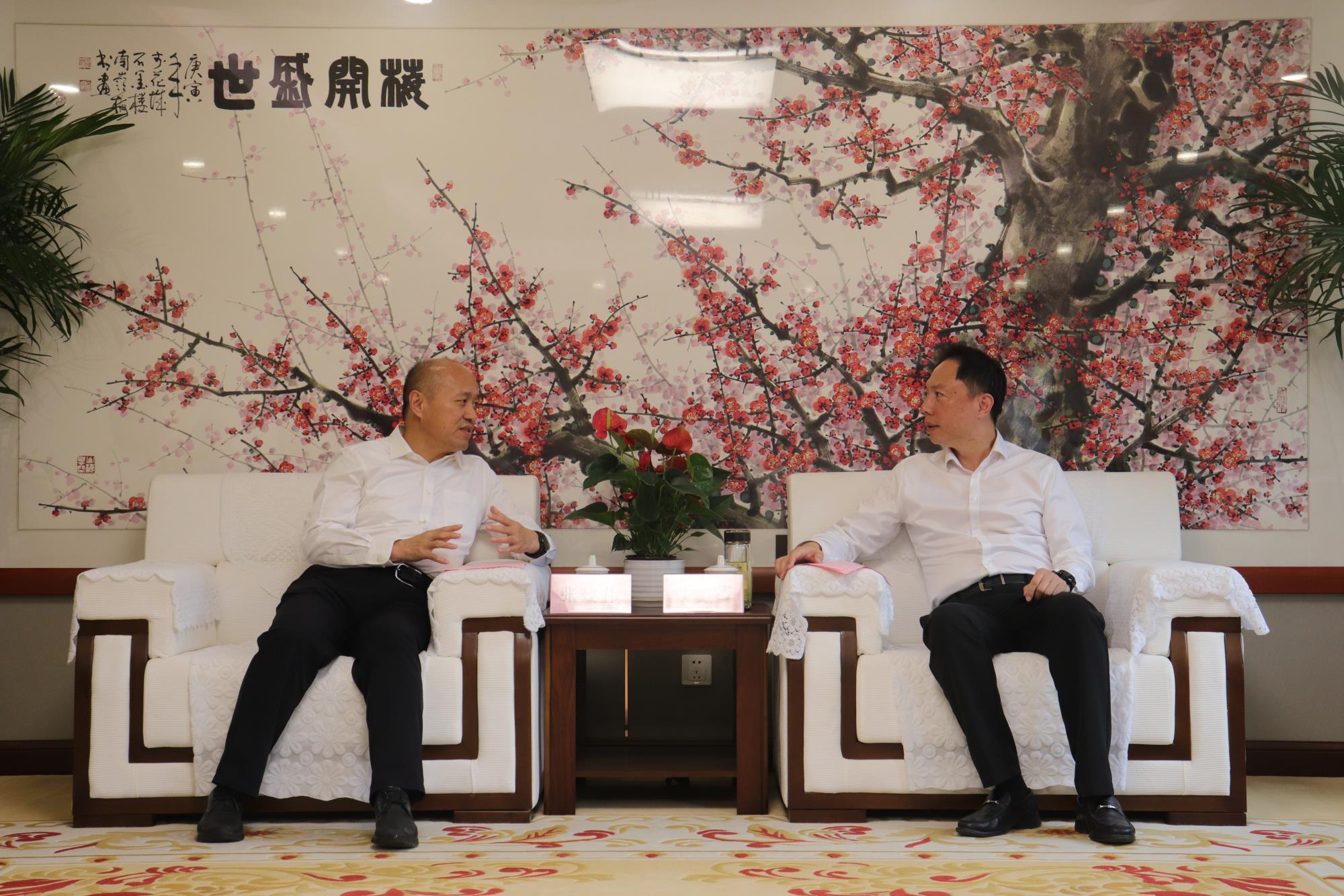 摩根娱乐官方网站图片