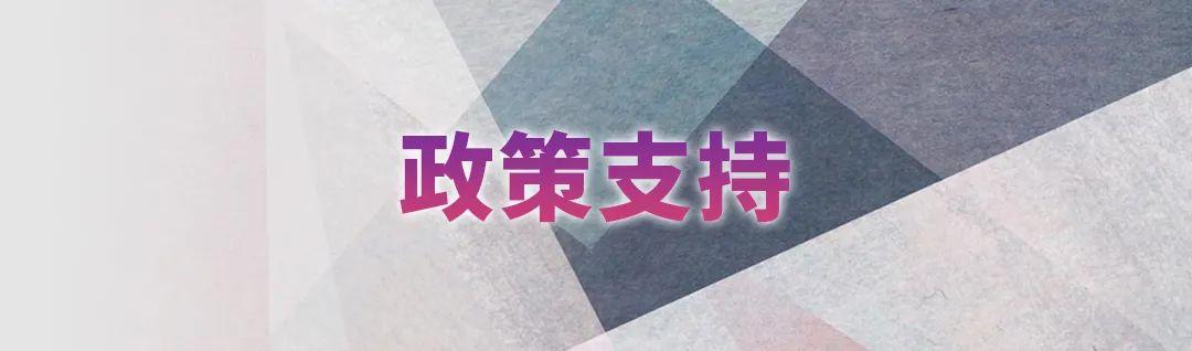 摩根娱乐官方网站图片