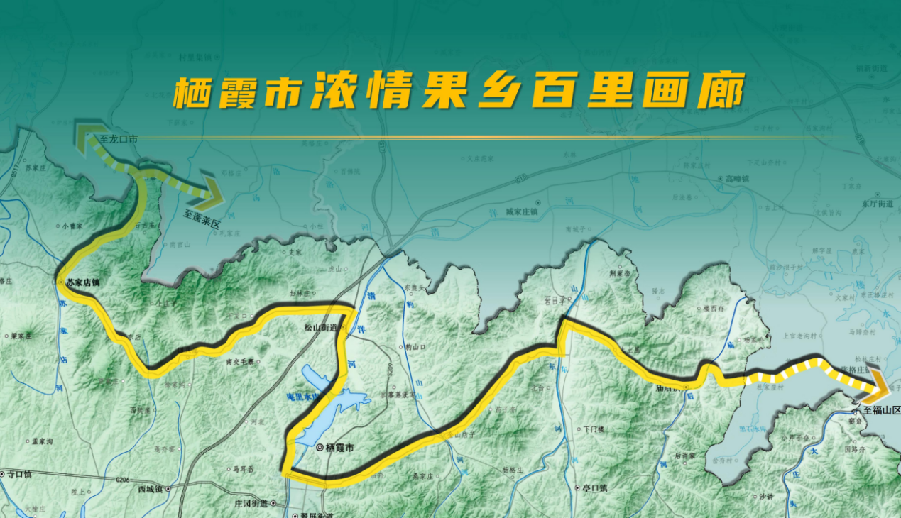 摩根娱乐官方网站图片