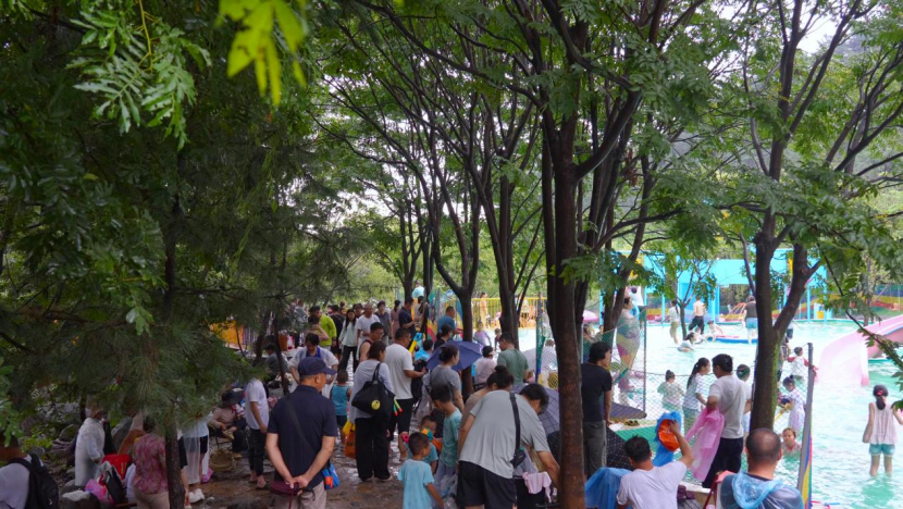 摩根娱乐官方网站图片