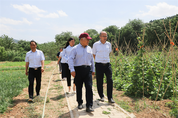 摩根娱乐官方网站图片