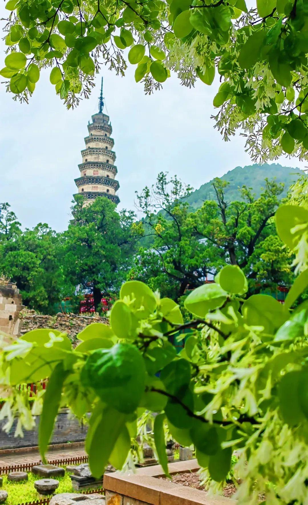 摩根娱乐官方网站图片
