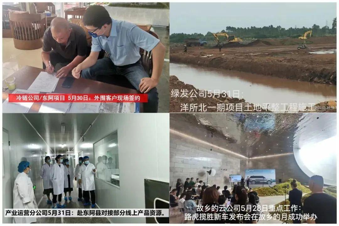 摩根娱乐官方网站图片