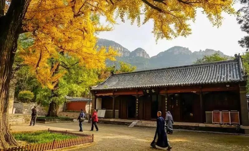 摩根娱乐官方网站图片