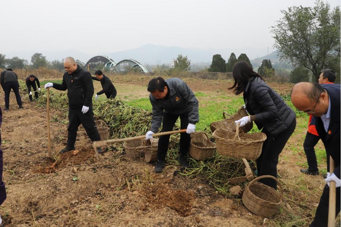 摩根娱乐官方网站图片