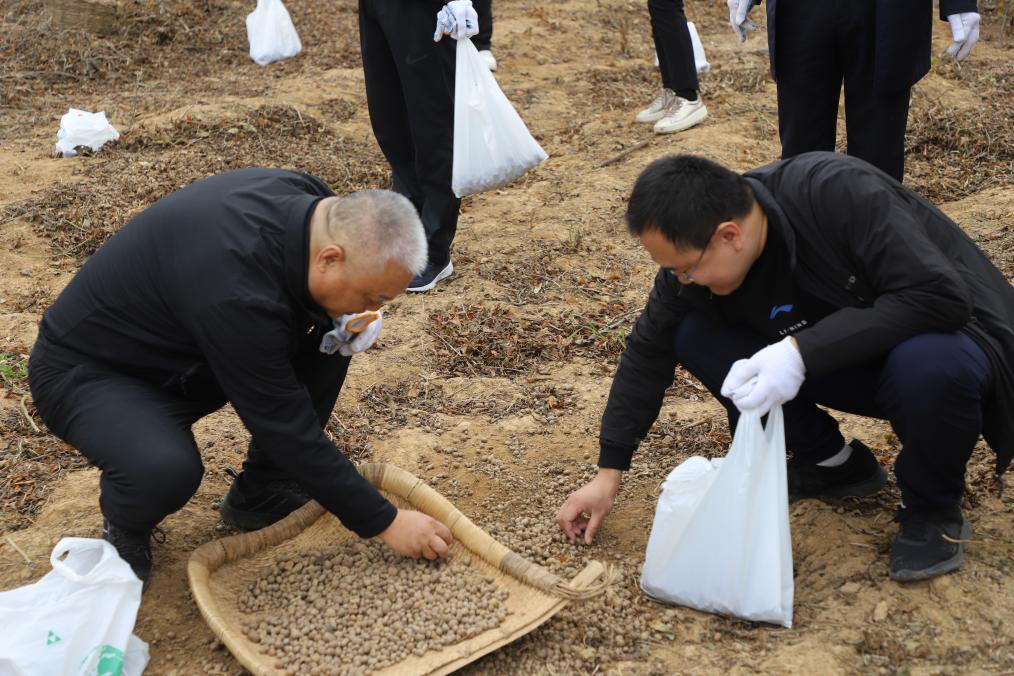 摩根娱乐官方网站图片