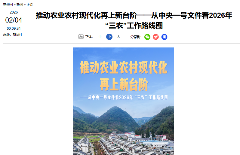 摩根娱乐官方网站图片
