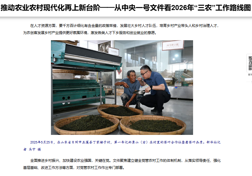 摩根娱乐官方网站图片